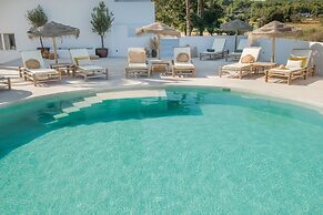 The Olive Boutique Suites and Spa