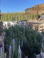 The Olive Boutique Suites and Spa