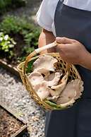 Avani+ Khao Lak Resort