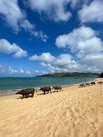 Pullman Lombok Merujani Mandalika Beach Resort