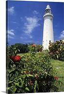 Dela de-Rose Guest House negril Jamaica