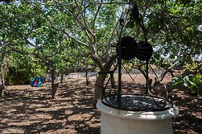 Aneli Villas - Villa Aegina