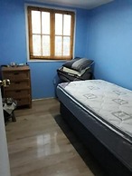 Cabañas en la naturaleza del Río Elqui