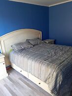 Cabañas en la naturaleza del Río Elqui