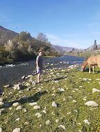 Cabañas en la naturaleza del Río Elqui