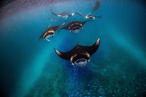 Nova Maldives