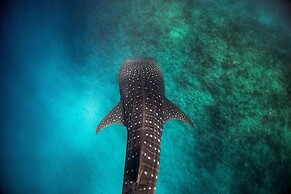Nova Maldives