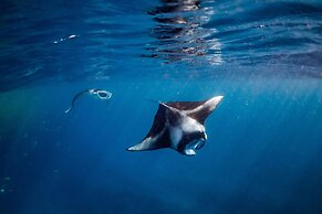 Nova Maldives