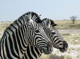 Etosha Safari Camping2Go