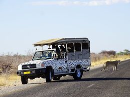 Etosha Safari Camping2Go