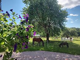 Charming 6 Bedroom House & Horse Farm - Sleeps 12