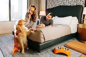 Canopy By Hilton Boston Downtown