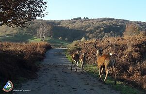 Agriturismo Bio 4 Stagioni