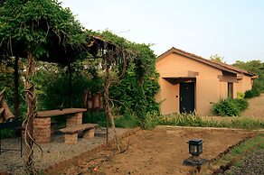 Clarks Safari Pushkar