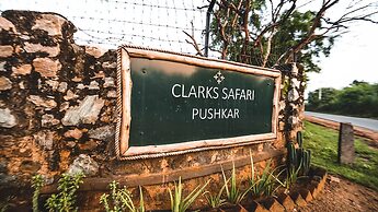 Clarks Safari Pushkar
