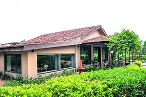 Clarks Safari Pushkar