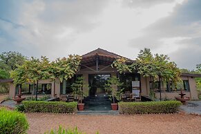 Clarks Safari Pushkar