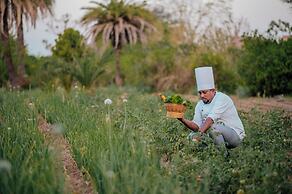Clarks Safari Pushkar