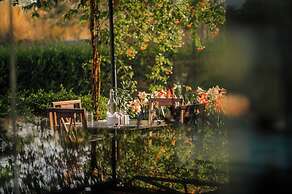 Clarks Safari Pushkar