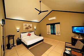 Clarks Safari Pushkar