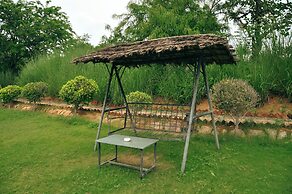 Clarks Safari Pushkar