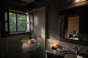 Clarks Safari Pushkar