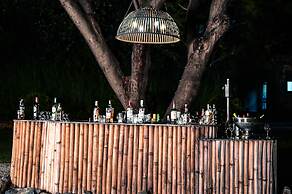 Clarks Safari Pushkar