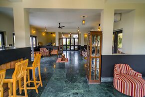 Clarks Safari Pushkar