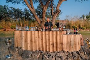 Clarks Safari Pushkar