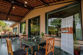 Clarks Safari Pushkar