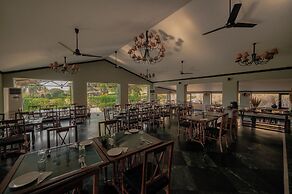 Clarks Safari Pushkar