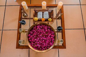 Clarks Safari Pushkar