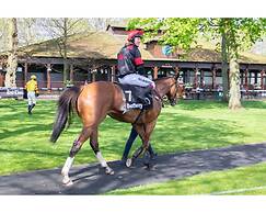 Welcoming Spacious 2-bedroom House in St Helens