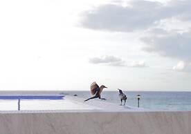 Hotel Puerto Libre Cozumel