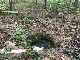 Hickory Hill Cabin Rentals