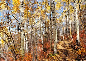 Kings Crown C-101 2 Bedroom Condo by RedAwning