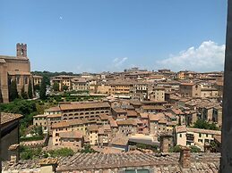 Top Floor - Franciosa