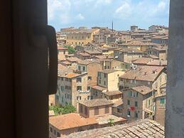 Top Floor - Franciosa