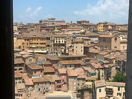 Top Floor - Franciosa