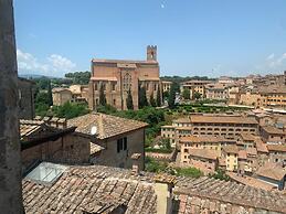 Top Floor - Franciosa