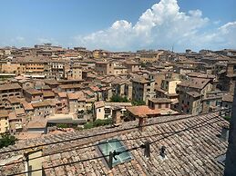 Top Floor - Franciosa