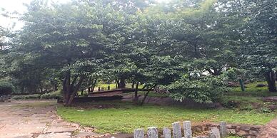 Temple Tree Residence