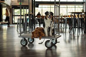 The Block Hotel & Commons