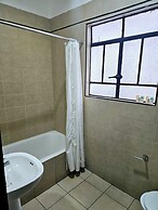 Singular Antara Polanco