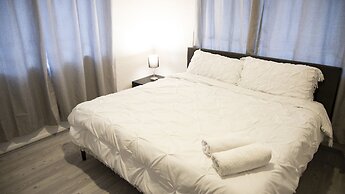 Singular Antara Polanco