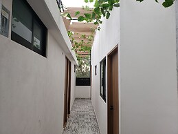 Singular Antara Polanco