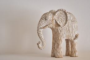 Chic n Bright 3 Bd Apt with Hilton View