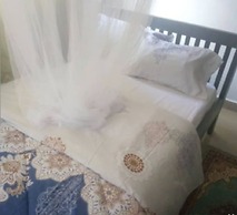 Captivating 4-bed House in Kampala