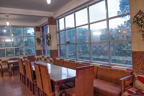 Ambience Hill Nainital