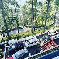 Ambience Hill Nainital